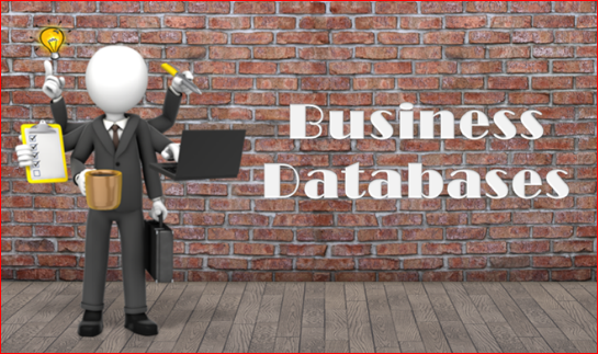 Info Of Different Business Databases And Their Functions